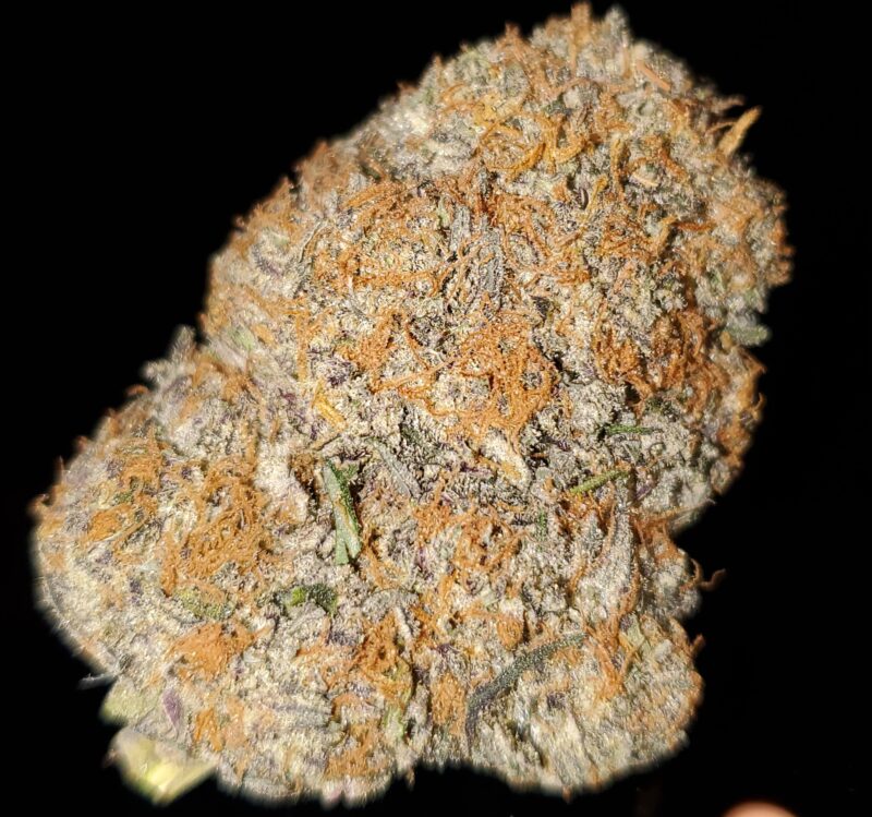 New! PINK ISLAND upto 25% THC - SPECIAL PRICE $150 OZ!