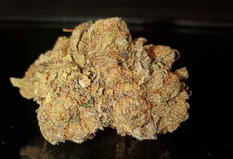 NEW! PURPLE KUSH -Upto 22% THC- SPECIAL PRICE $90 OZ!